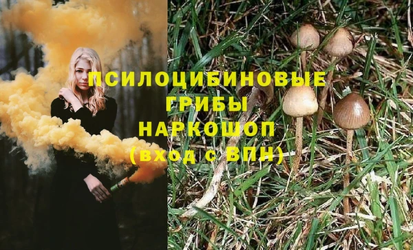 дживик Алзамай