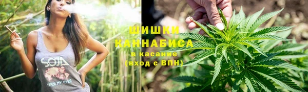 дживик Алзамай