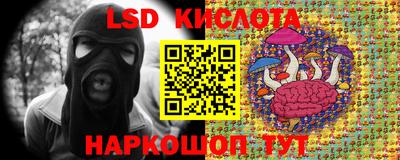 ПСИЛОЦИБИНОВЫЕ ГРИБЫ Ставрополь