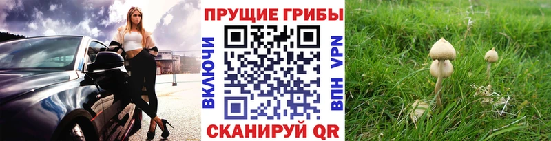 Псилоцибиновые грибы ЛСД Солнечногорск