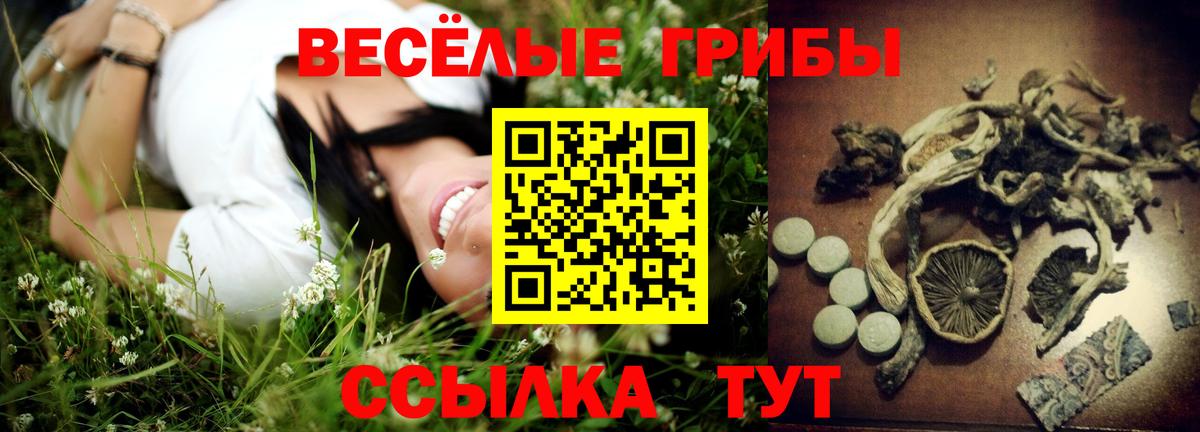 Галлюциногенные грибы мицелий Солнечногорск